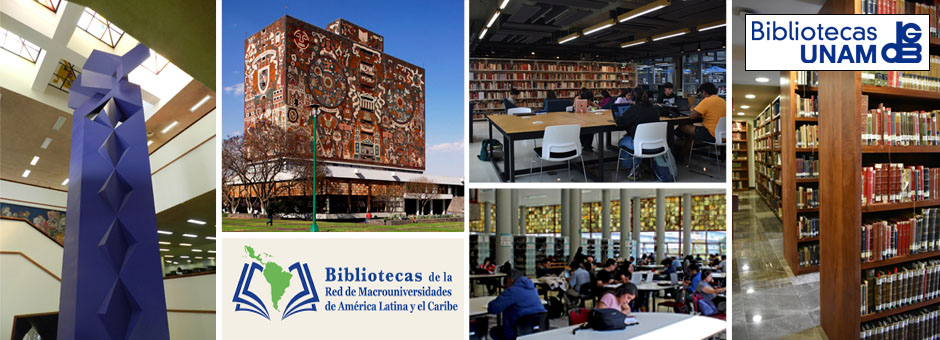 Dirección General de Bibliotecas y Servicios Digitales de Información (DGBSDI), UNAM